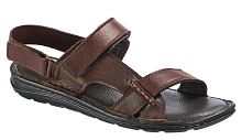 119 MT Сандалии мужские Evalli /Коричневый/