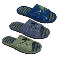 2450 HCE Туфли комнатные детские Tingo