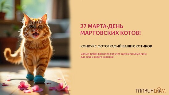 Конкурс фотографий котиков